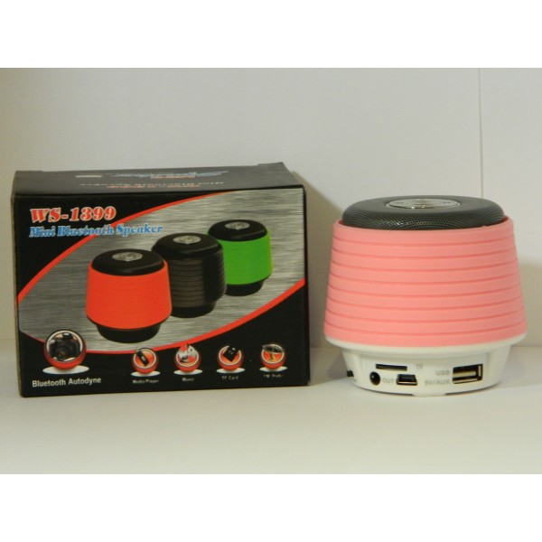 Mini boxa portabila WSTER WS-1399