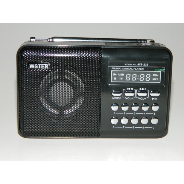 Mini radio FM WSTER WS-229