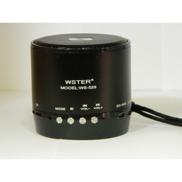 Boxa portabila Wster WS-529