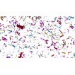 Confetti pentru nunti si petreceri 30 cm